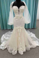 Lace Long Sleeves Sweetheart Mermaid Dreamy Long Wedding Dress