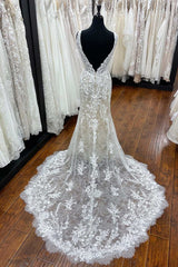 Beige Lace Plunge V Mermaid Long Wedding Dress with Sweeping Train